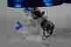 item-137340336=6