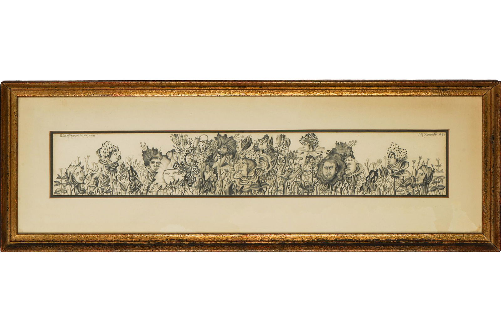 FRITZ JAUSCHKA: WILDFLOWERS IN VIRGINIA (1 of 10)