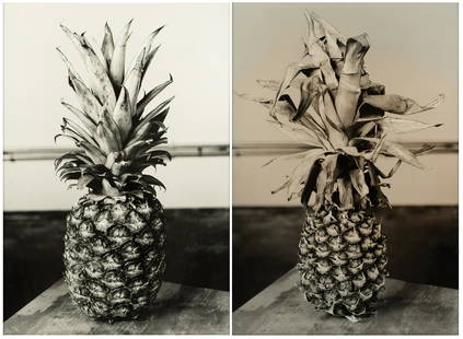 DAN FINSEL (B. 1982): THE SPACE BETWEEN YOU AND ME: CENTERPIECE: two black and white photographs, each framed under acrylic; unsigned; each 70 1/4 x 49 1/2 inches frame