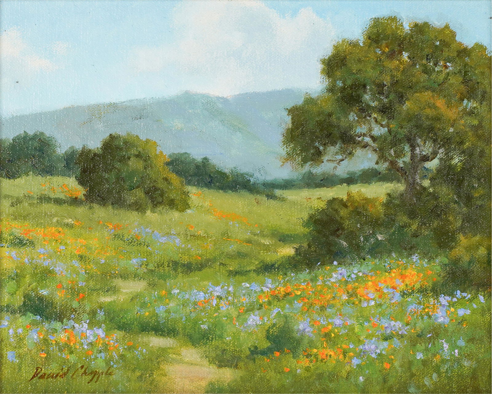 DAVID CHAPPLE (B. 1947): CANYON WILDFLOWERS (1 of 9)