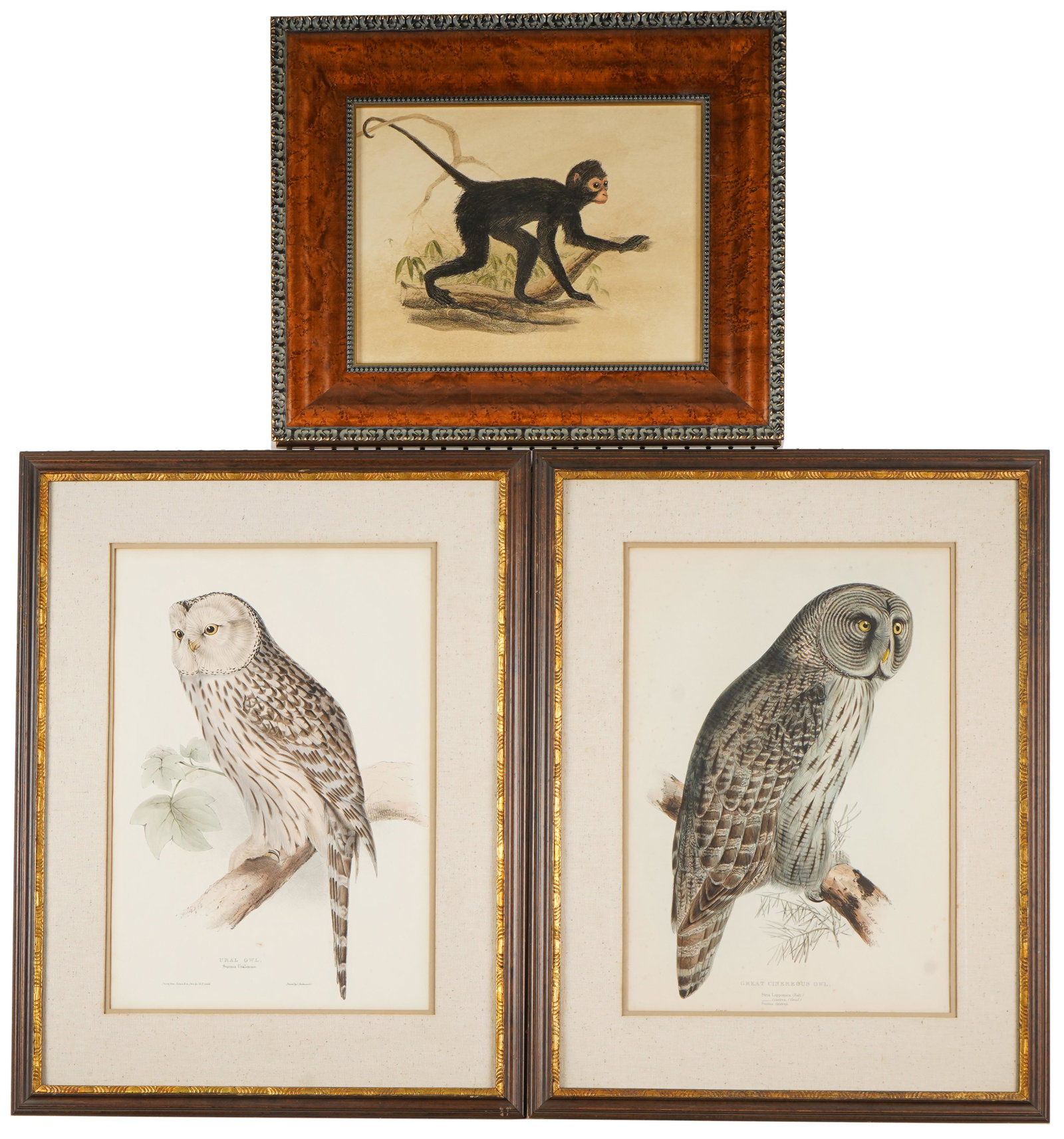 Group of Three Antique Framed Prints (1 of 14)