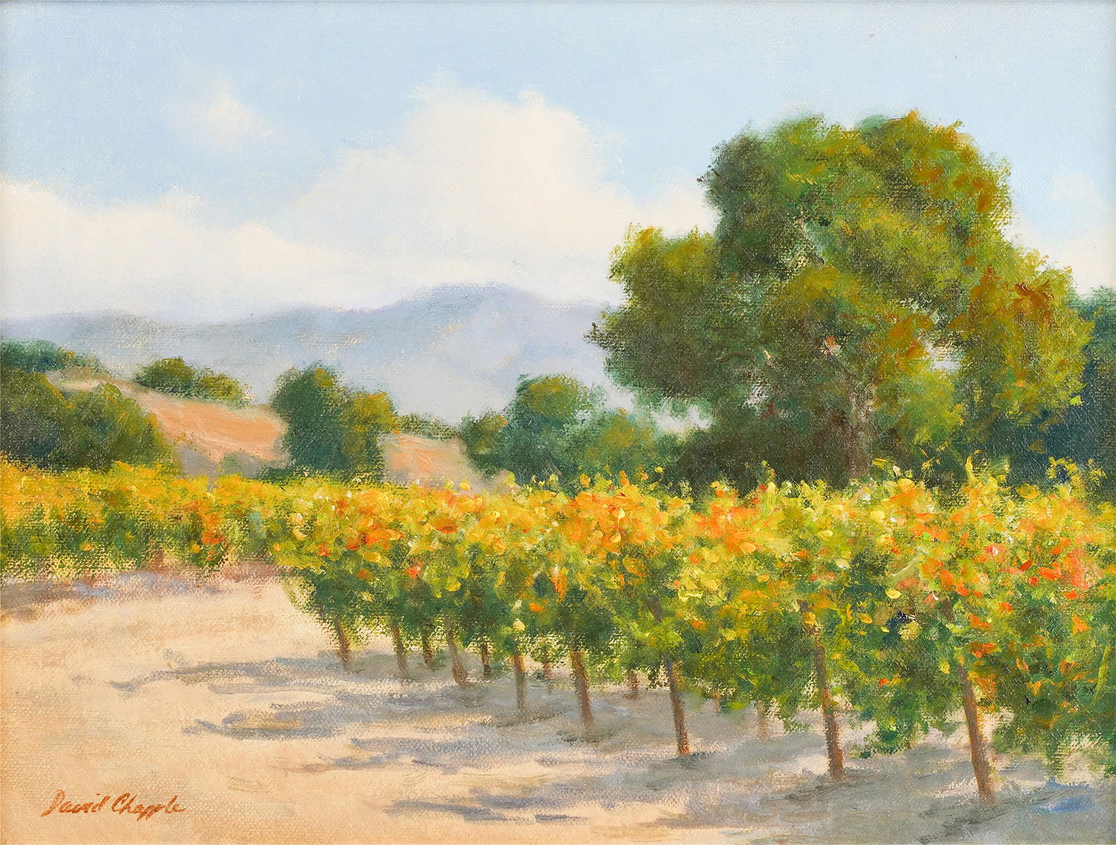 David Chapple (California B. 1947): Autumn Vines (1 of 9)