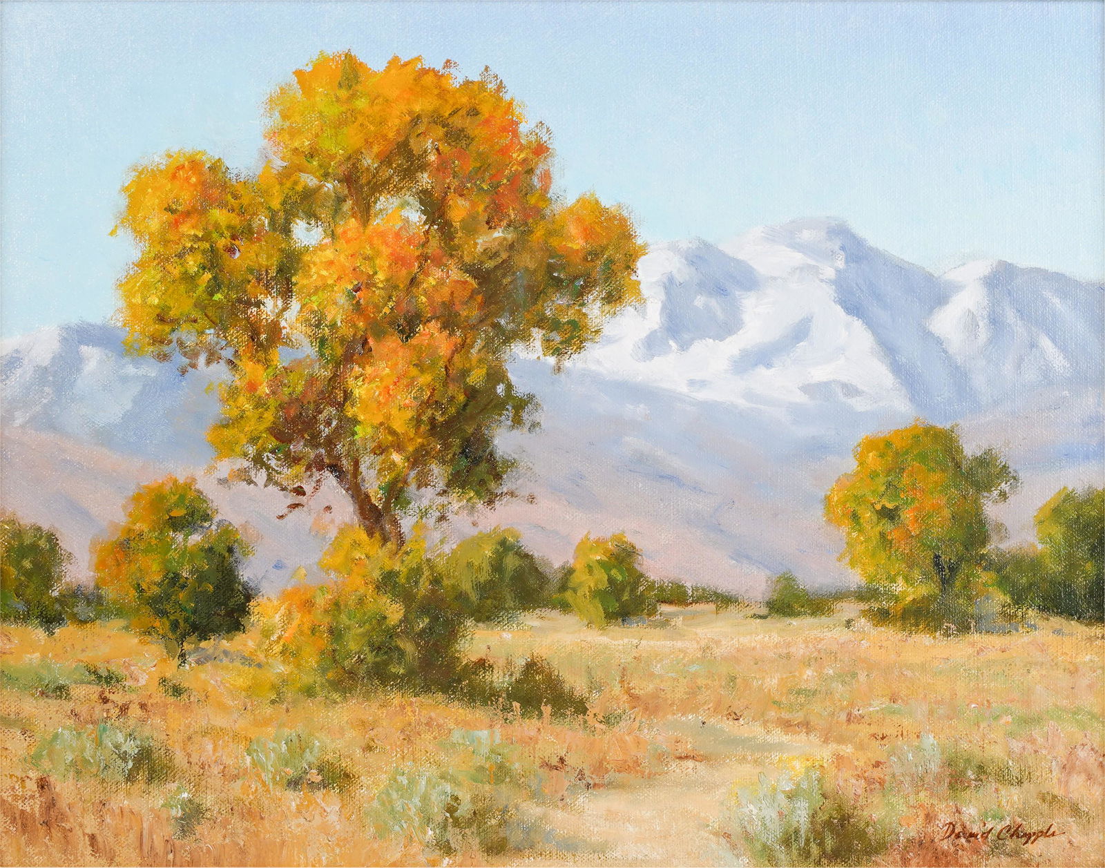 David Chapple (California B. 1947): Sierra Cottonwoods (1 of 8)