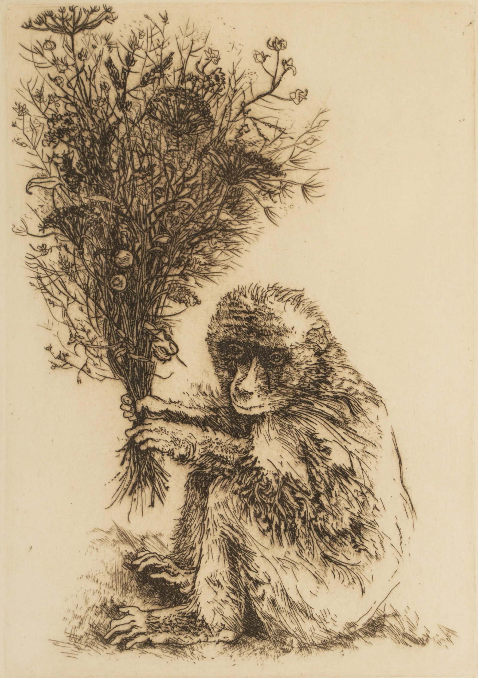 Jack Coughlin (American, B. 1932): Monkey with Bouquet (1 of 8)