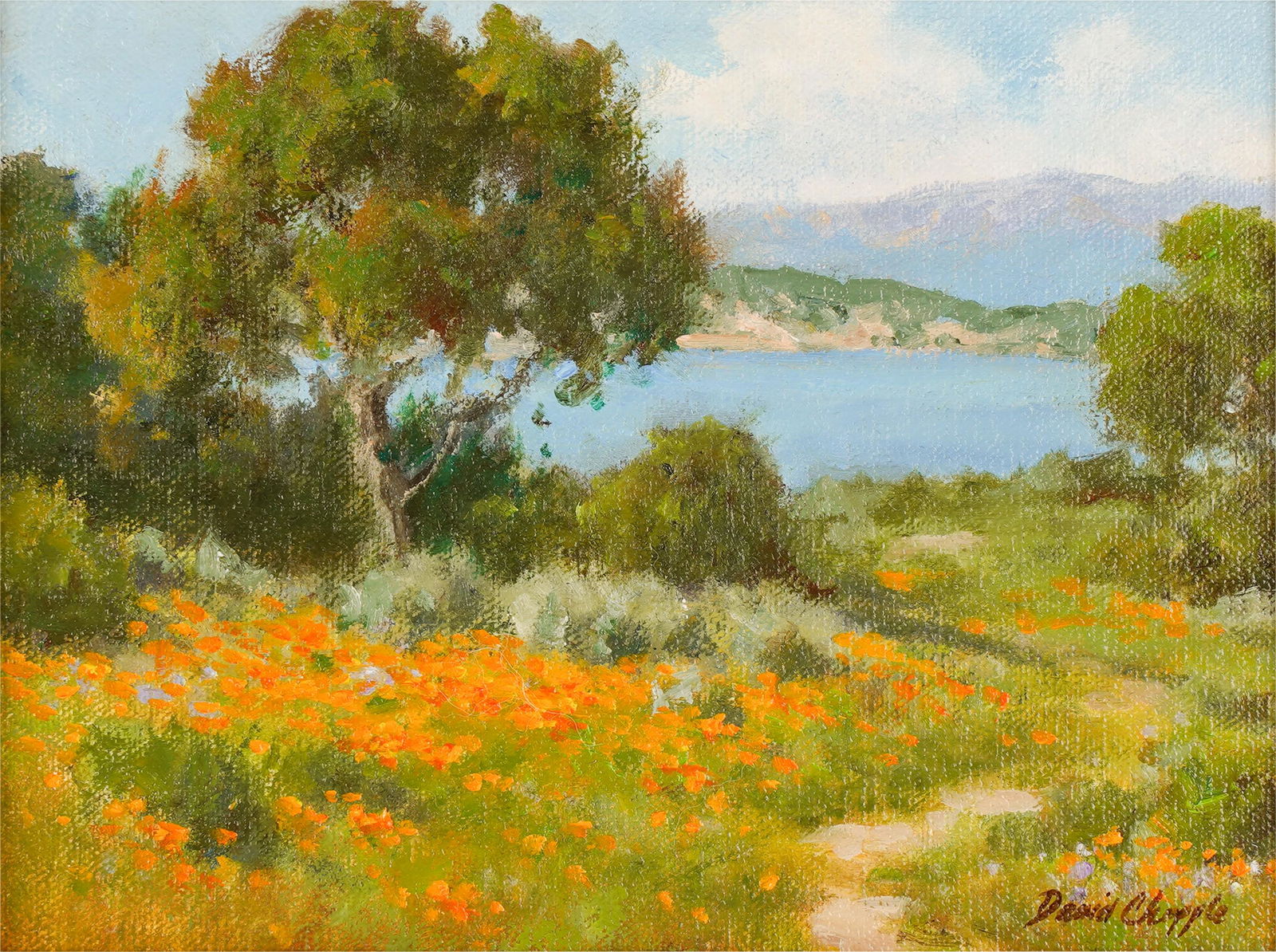 David Chapple (American b. 1947): April Wildflowers (1 of 8)