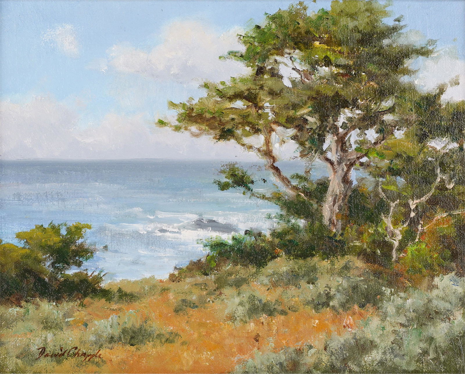David Chapple (American b. 1947): Pt. Lobos Cypress (1 of 8)