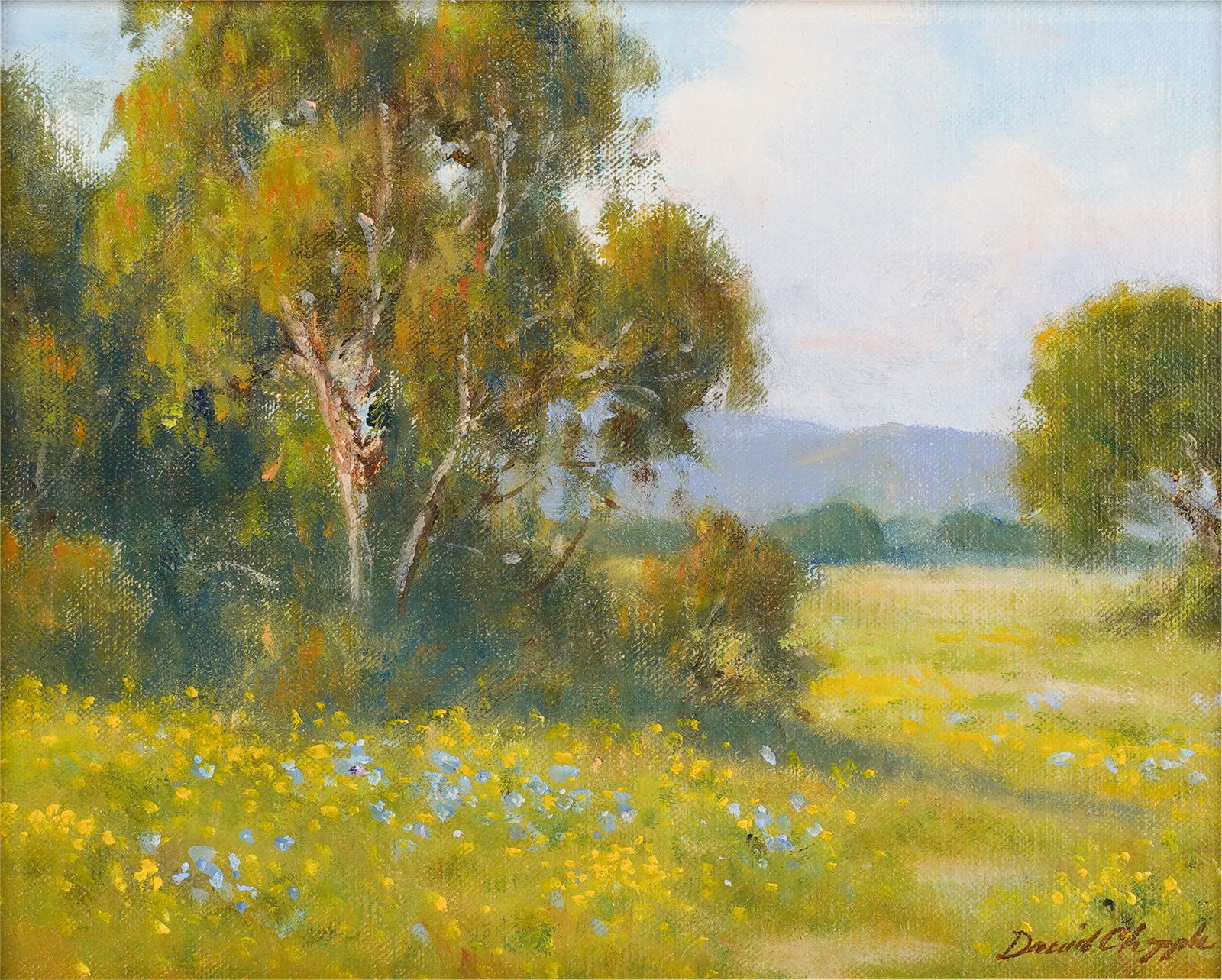 David Chapple (California B. 1947): Meadow's Edge (1 of 8)