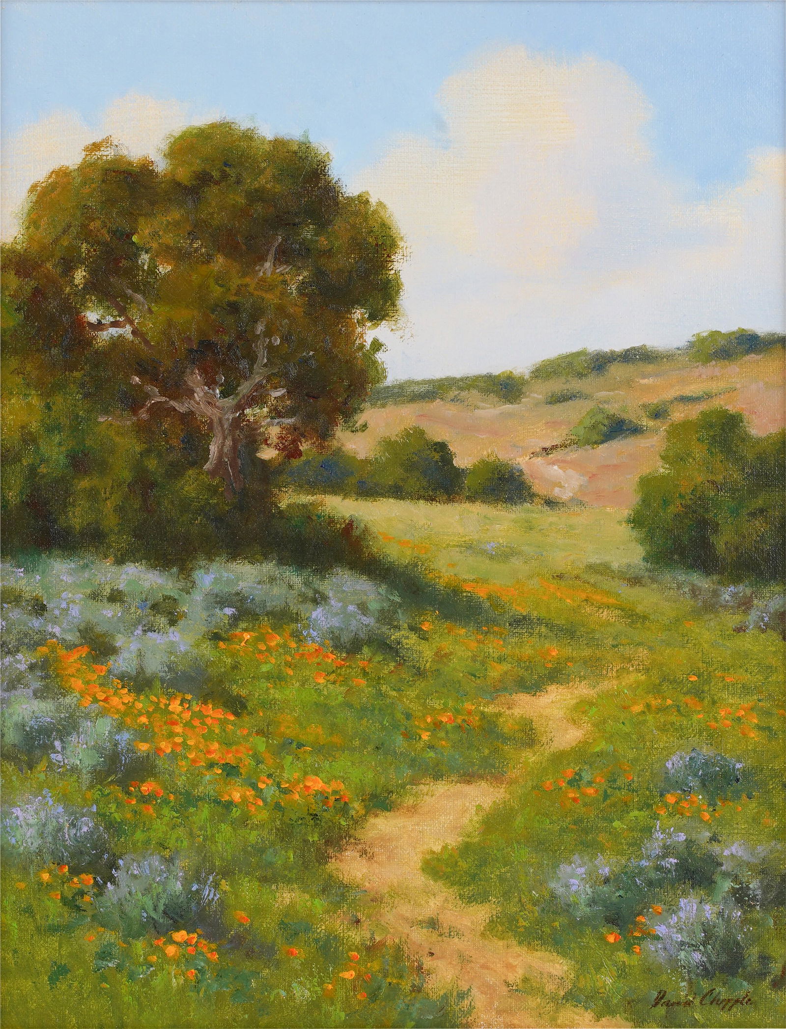 David Chapple (American b. 1947): Bush Lupine and Poppies (1 of 8)