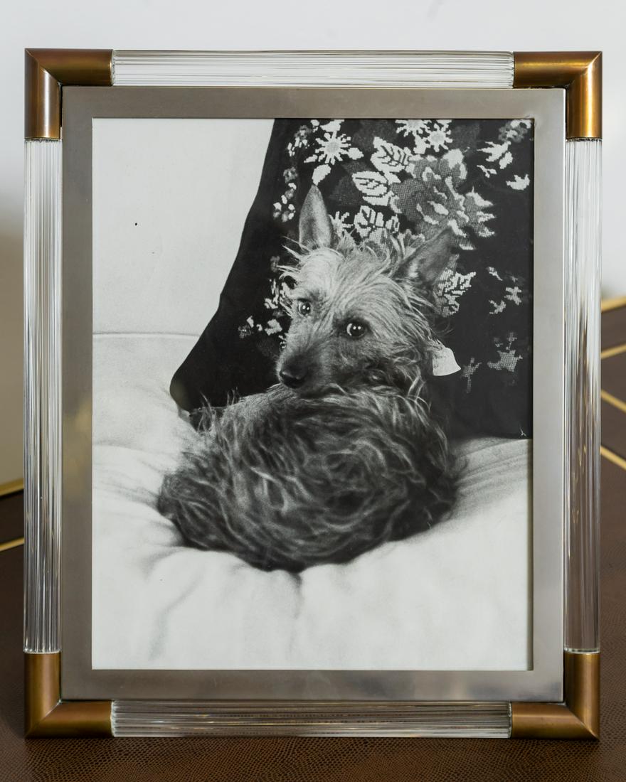 Picture Frame from the Collection of Gore Vidal (1 of 8)