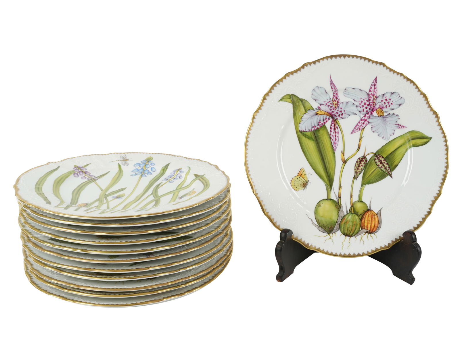 Twelve Anna Weatherley Porcelain Dinner Plates (1 of 13)