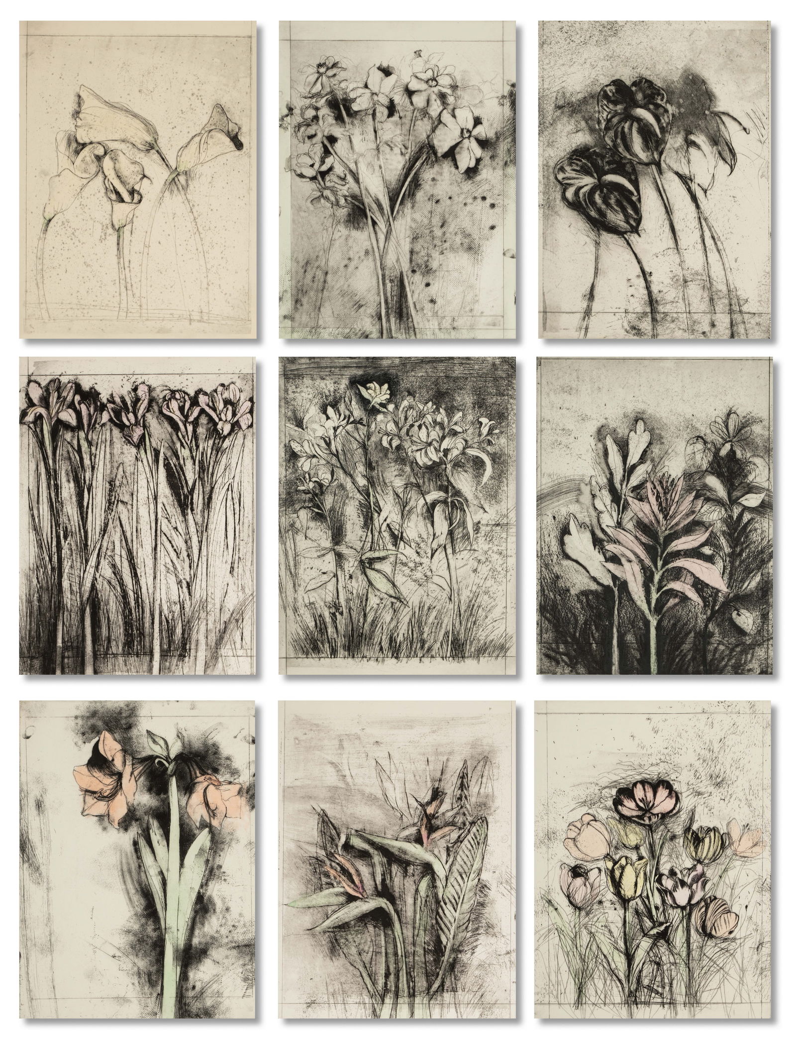 Jim Dine (b. 1935): A Temple of Flora (1 of 20)