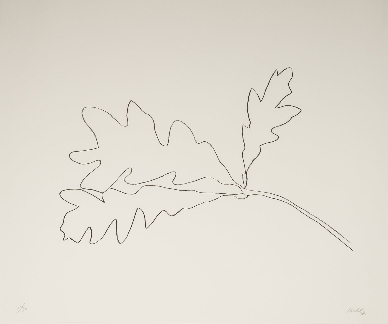 Ellsworth Kelly (1923-2015): Oak II (1 of 13)