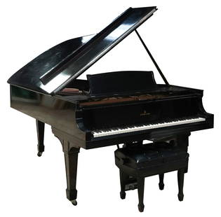 Steinway and Sons Model B Grand Piano: 1894-95; serial no. 84359; ebonized case, with associated bench 6'11"
