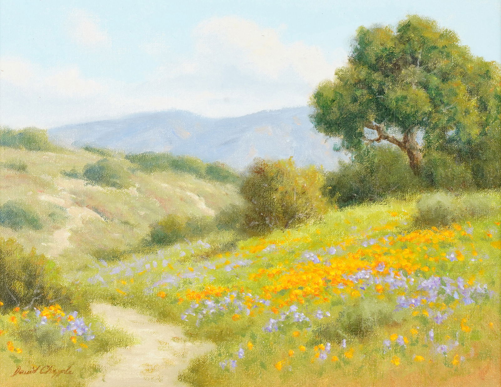 David Chapple (B. 1947): Canyon Wildflowers (1 of 9)