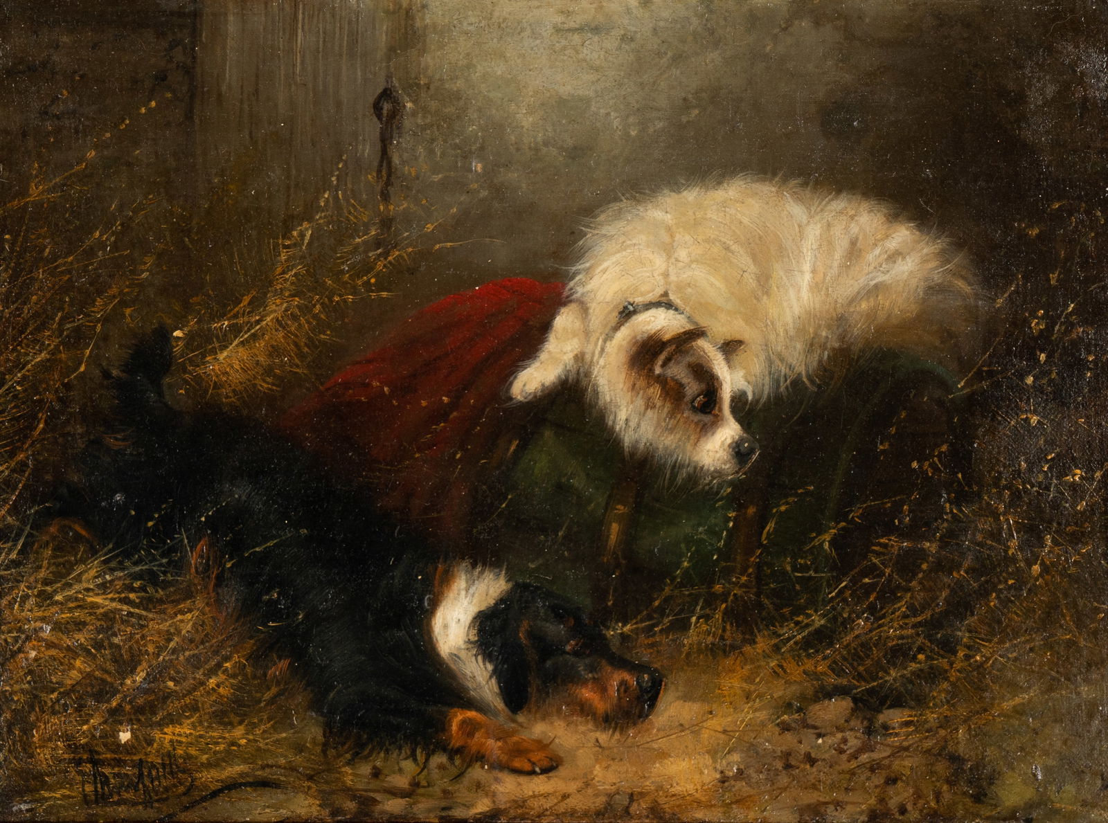 George Armfield (1810-1893): Barn Terriers (1 of 14)