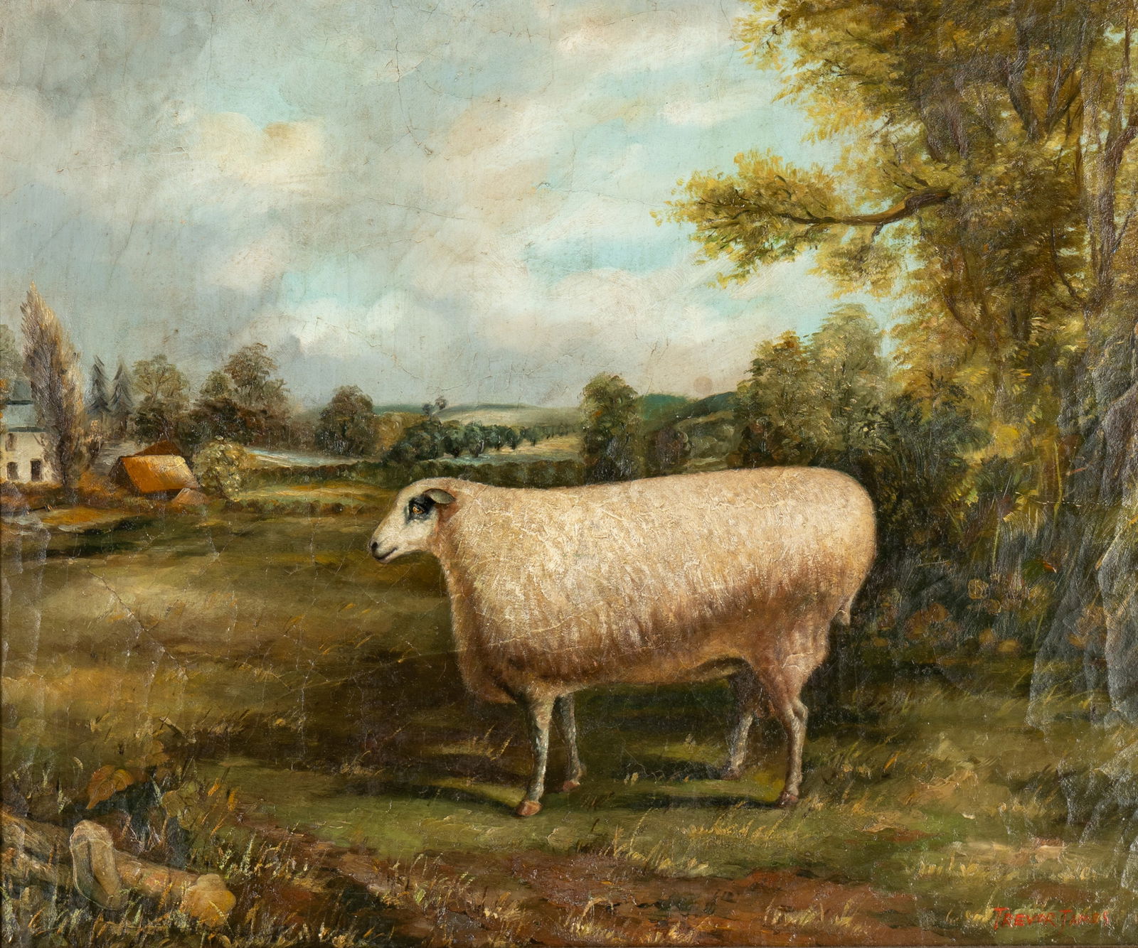 Trevor James (20th Century): Sheep in a Pasture (1 of 16)