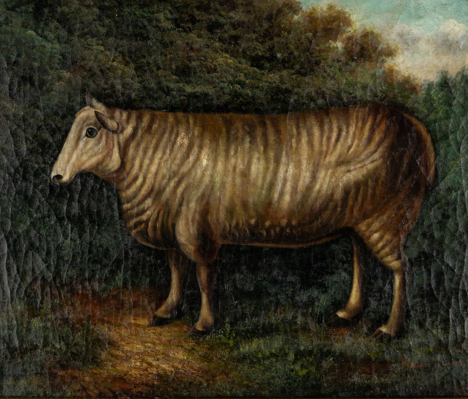 Trevor James (20th Century): Cow (1 of 13)