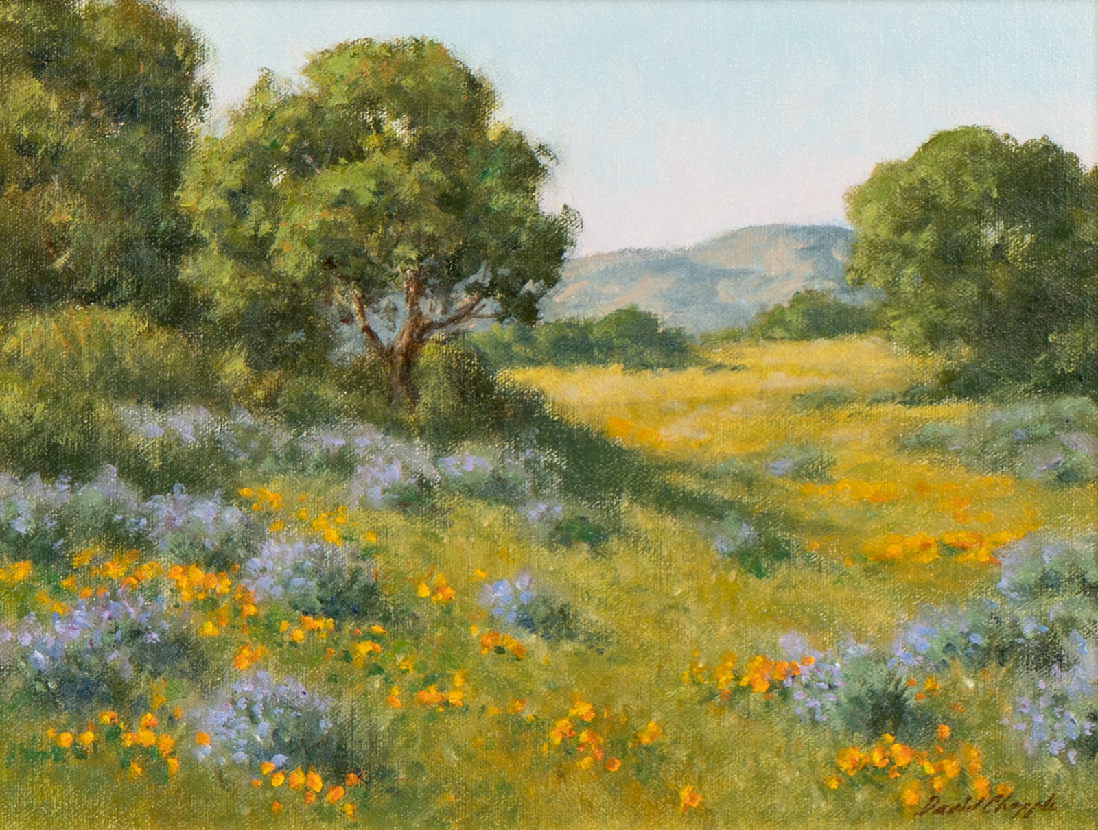 David Chapple (B. 1947): Bush Lupine (1 of 9)