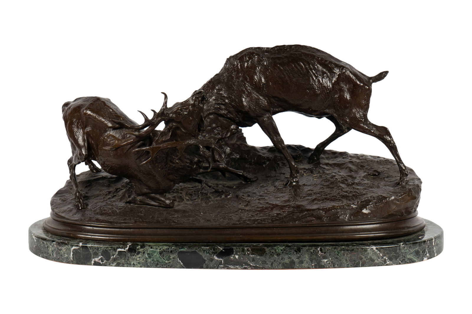 After P.J. Mene: Fighting Stags (1 of 16)