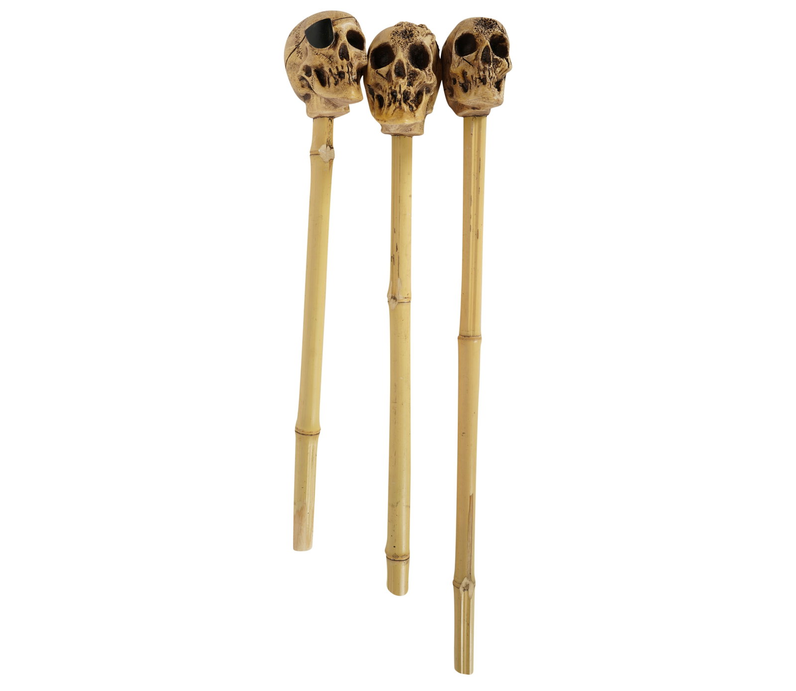 Three Randotti Skulls on Bamboo Sticks: numbered 892, 829R and P29A Ranging from 23 1/2 in. (59.7 cm.) to 18 1/2 in. (47 cm.)