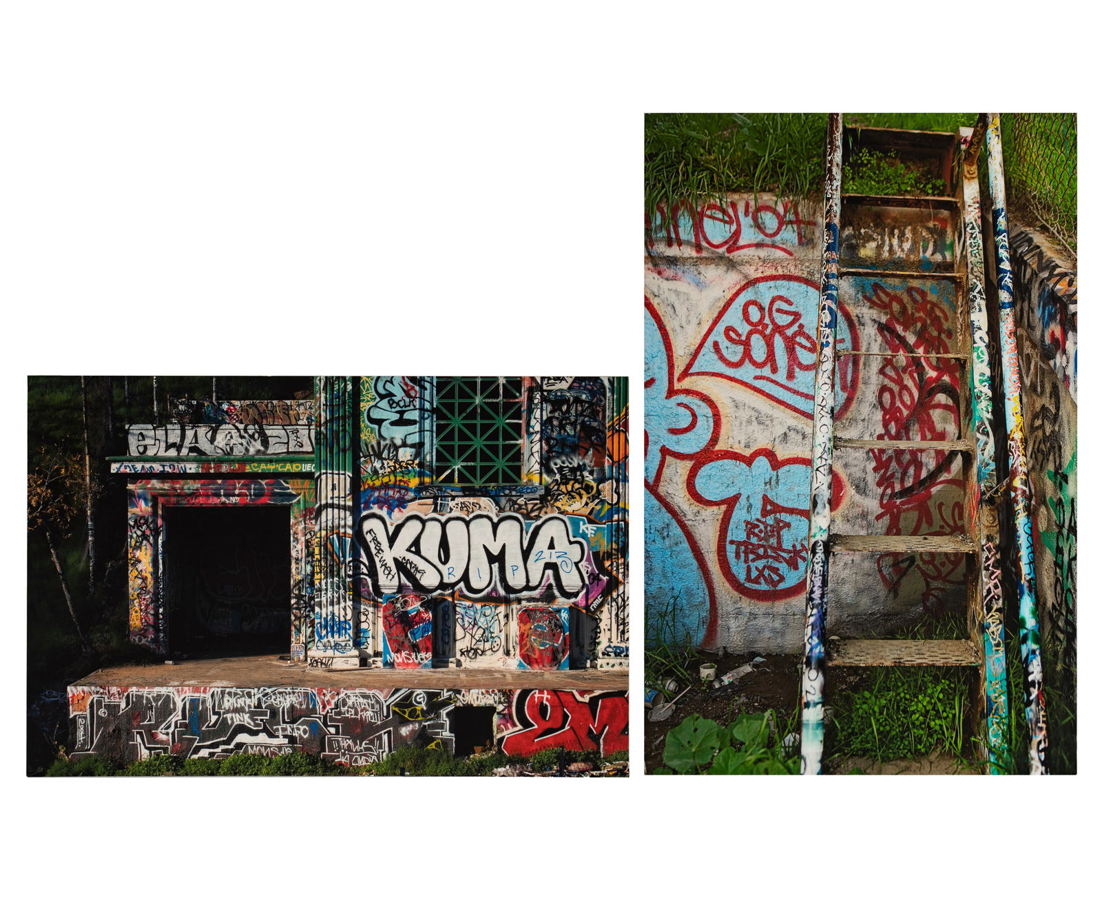 Richard Ehrlich (B. 1938): Two Works: (Urban Graffiti) 40 x 27 in. (101.6 x 68.6 cm.) each: Epson archival inkjet prints on metal; the first: "Belmont Park, LA Graffiti BP 19 (the ladder)", 2005, ed. 5/10; the second: "Belmont Park, LA Gr
