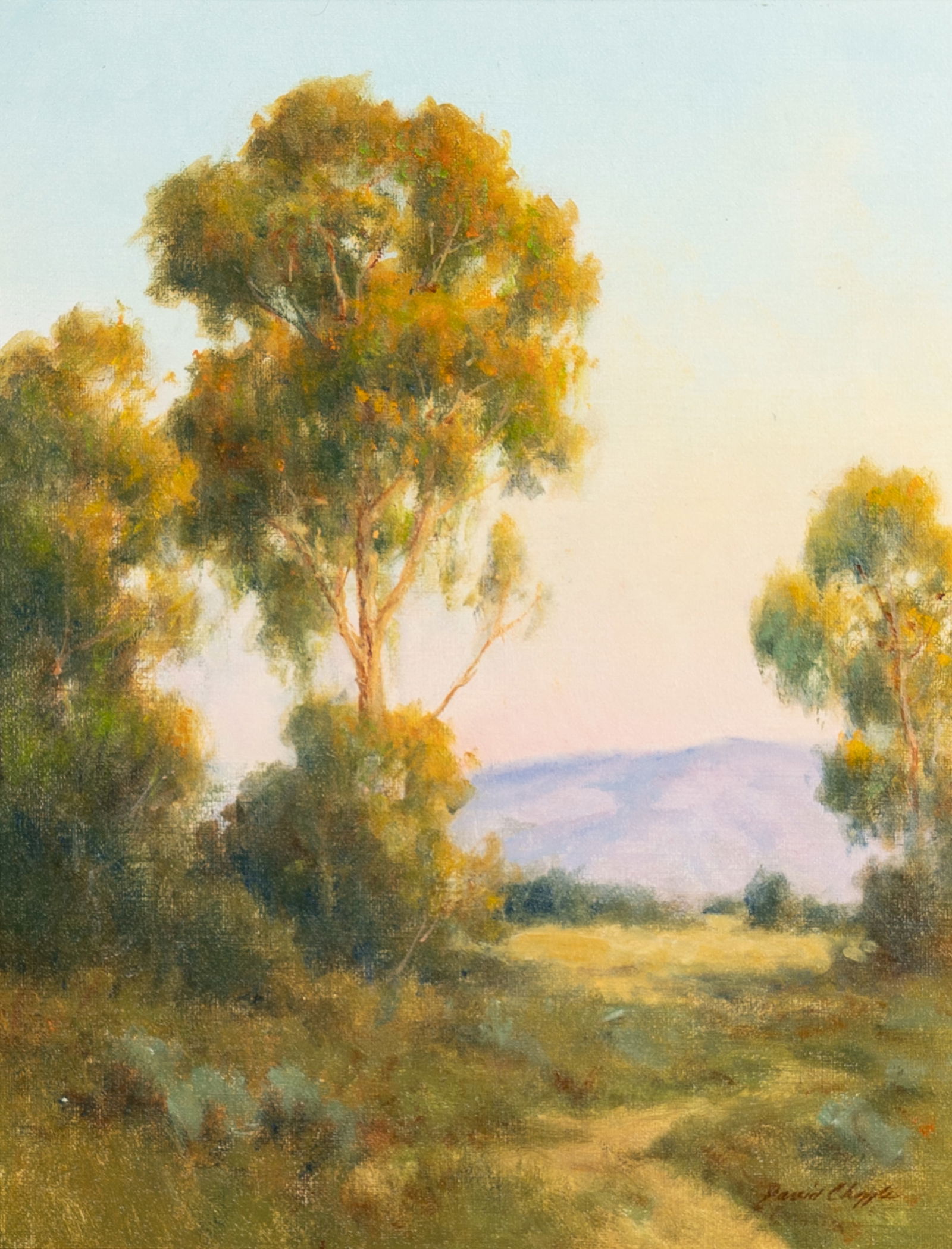 David Chapple (B. 1947): Evening Walk (1 of 11)