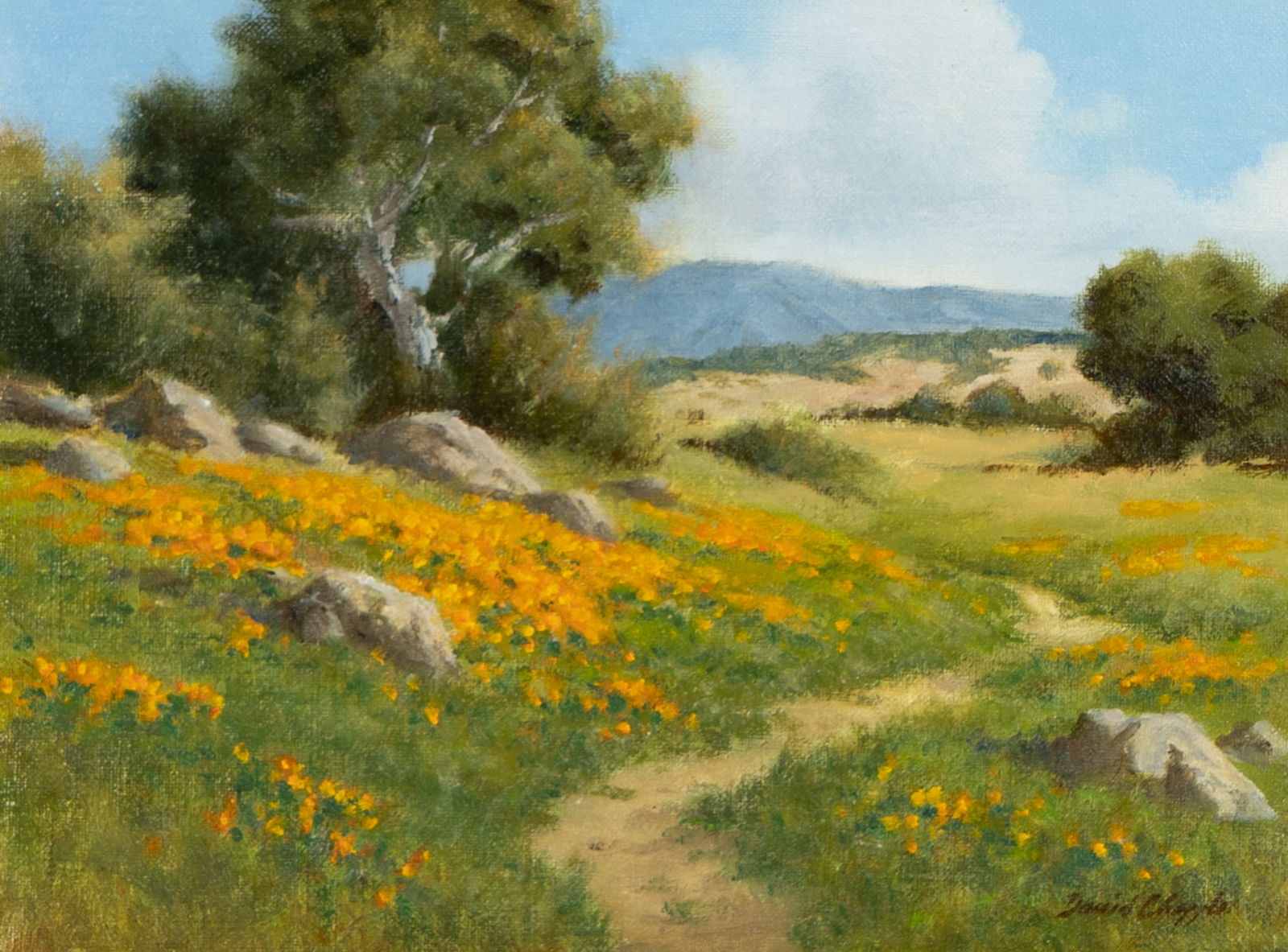 David Chapple (B. 1947): Rocky Hillside: David Chapple California B. 1947 Rocky Hillside oil on canvasboard signed lower right, titled verso 9 x 12 in. (22.9 x 30.5 cm.), Frame: 12 3/4 x 15 3/4 in. (32.4 x 40 cm.)