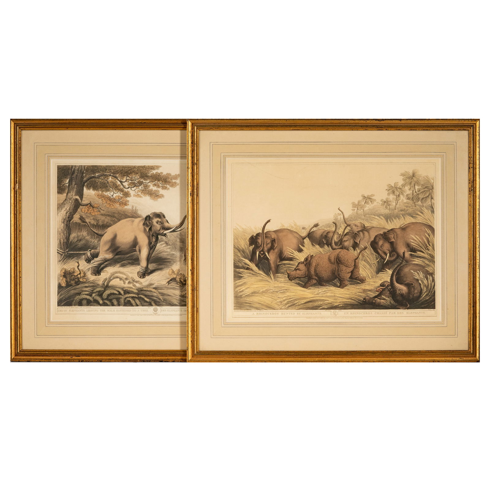 Thomas Williamson and Samuel Howitt: Two Plates from Oriental Field Sports (1 of 15)