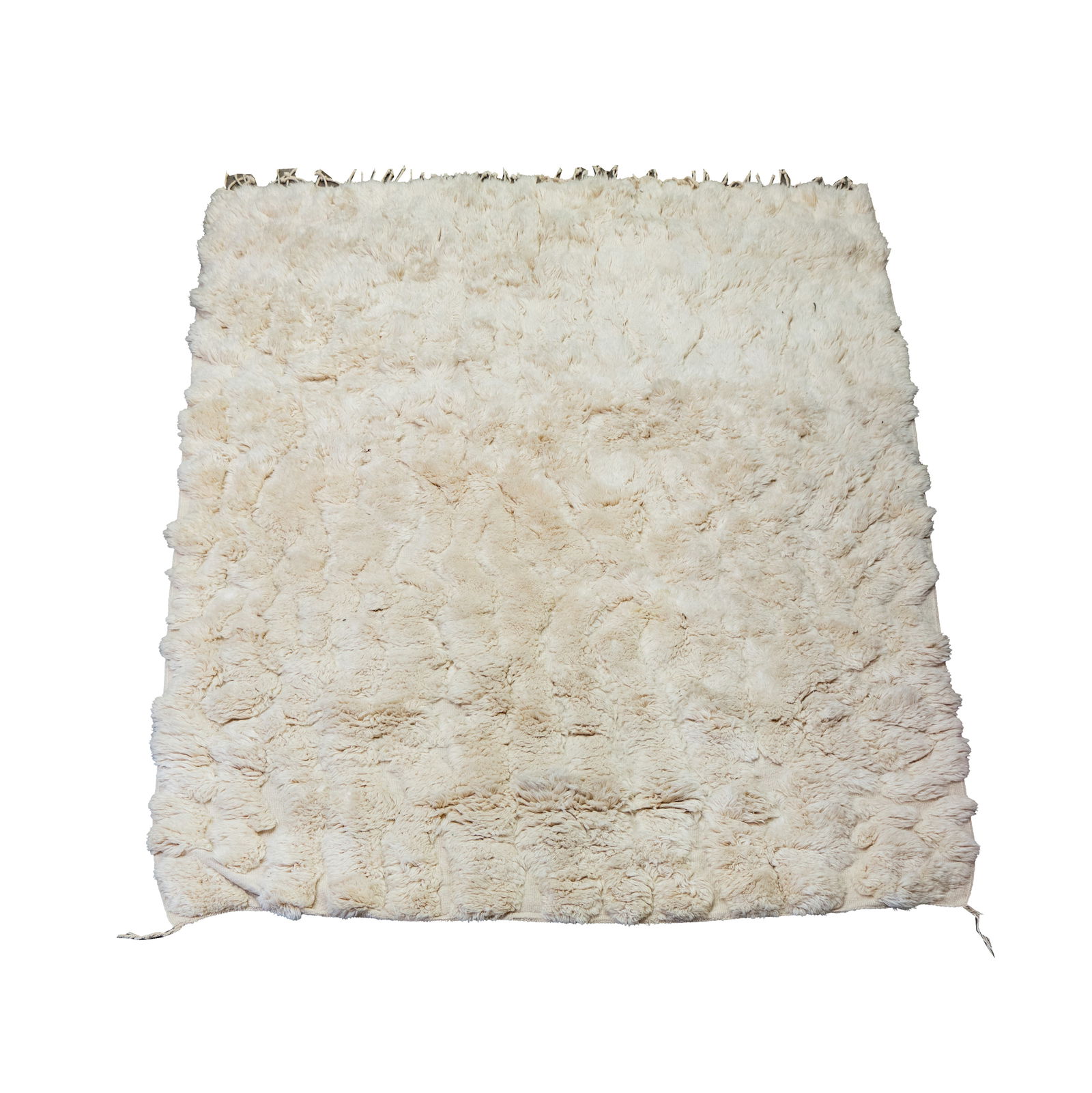 A Moroccan Area Rug (1 of 19)