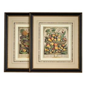 Two Botanical Prints