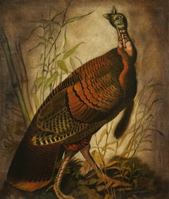 Late 20th Century: Turkey