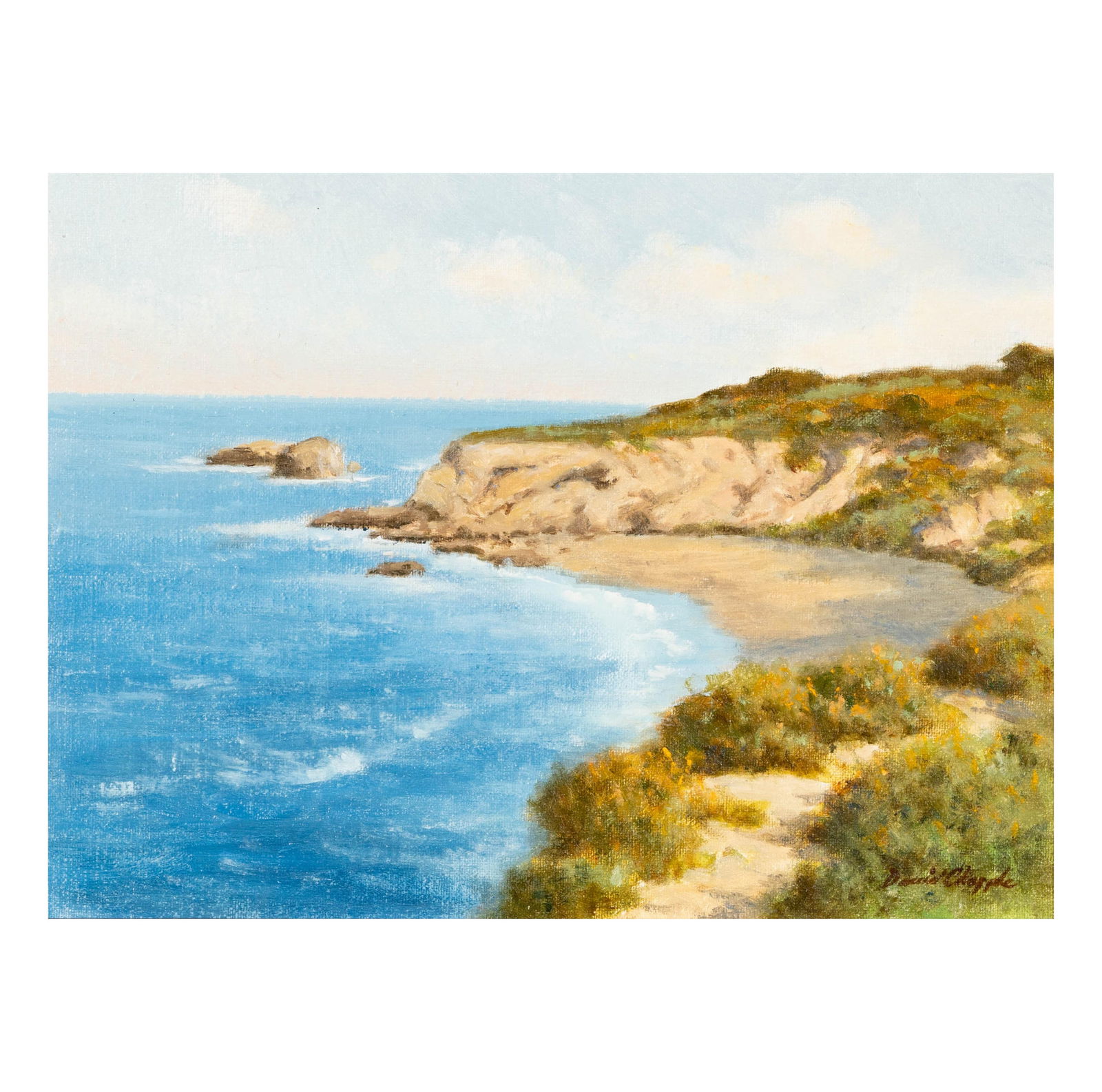 David Chapple (B. 1947): Crystal Cove - Pelican Point (1 of 9)