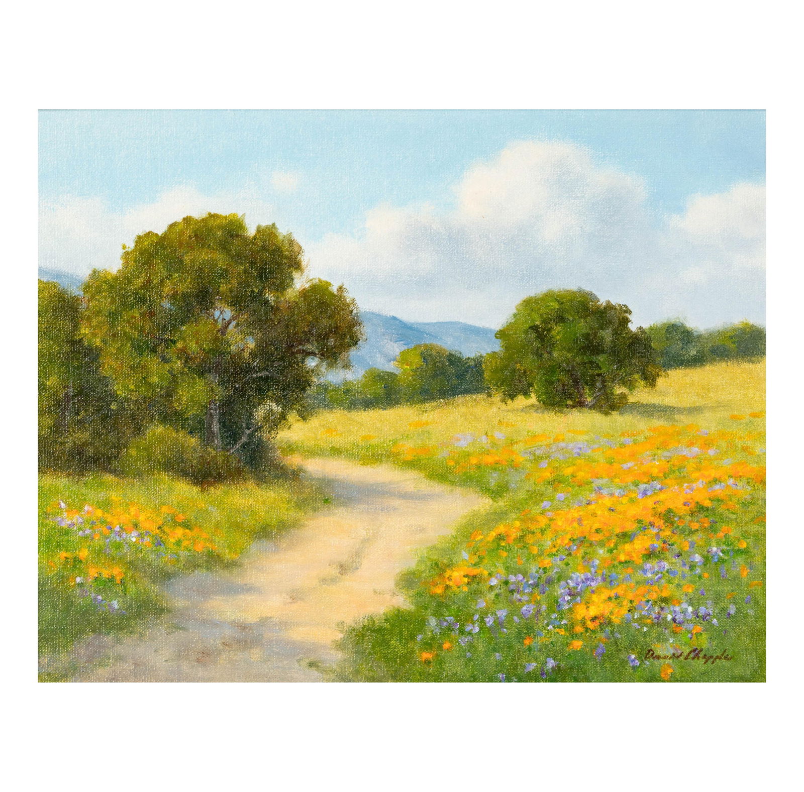 David Chapple (B. 1947): Roadside Bloom (1 of 9)