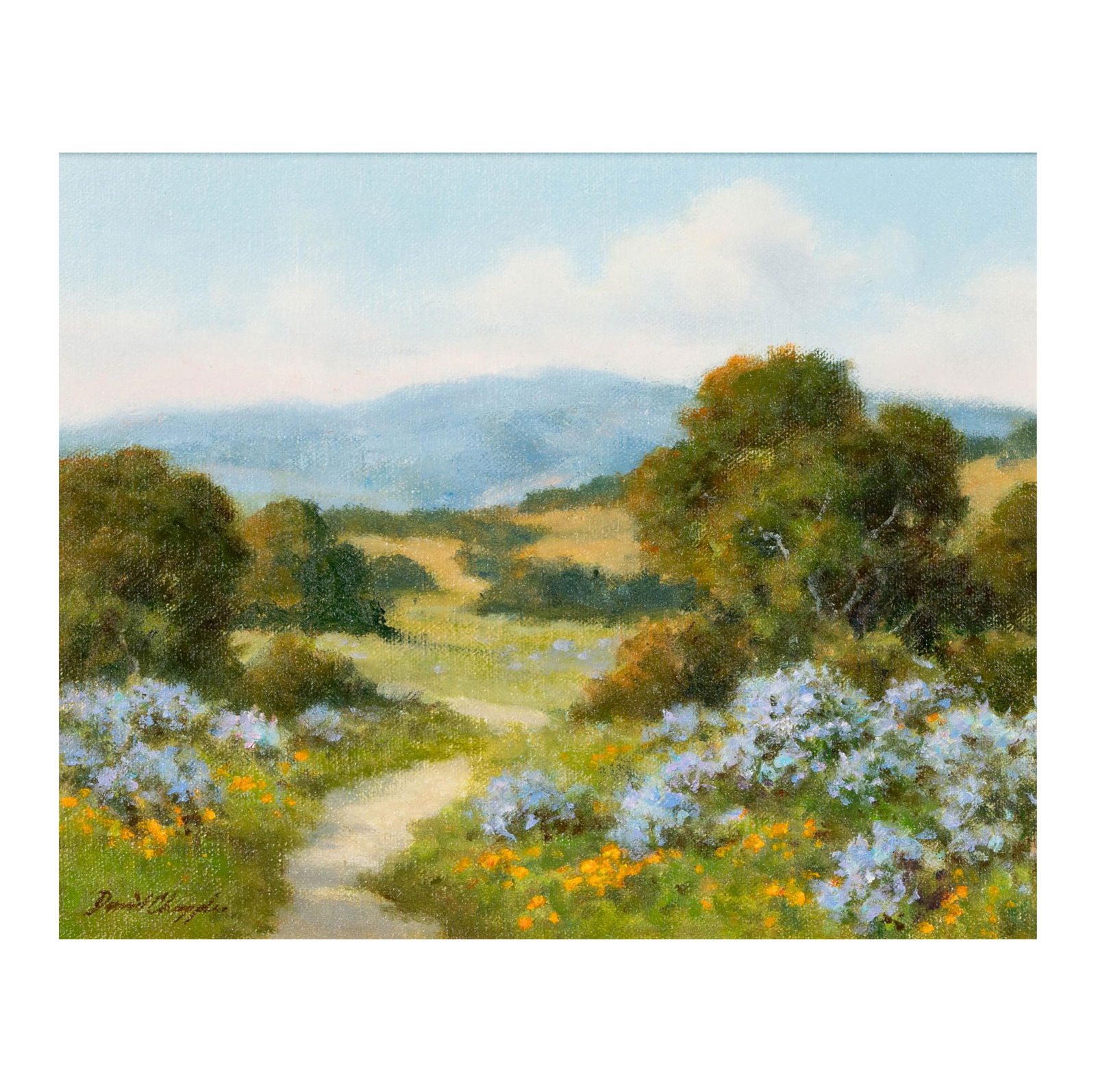 David Chapple (B. 1947): Wild Lilac (1 of 9)