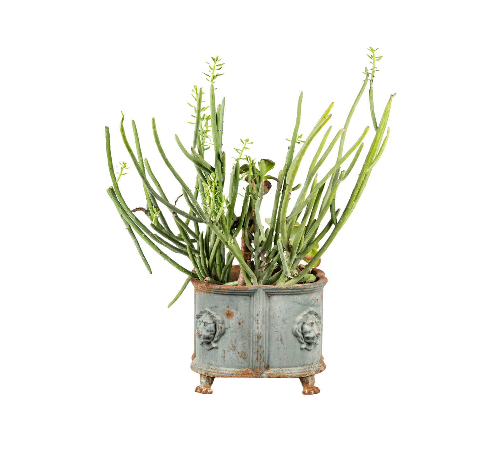 An English Regency-Style Lead Planter Box (1 of 11)