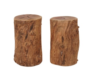 A Pair of Rough-Hewn Tree Trunk Stools