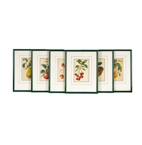 A Group of Six French Botanical Prints of Fruit