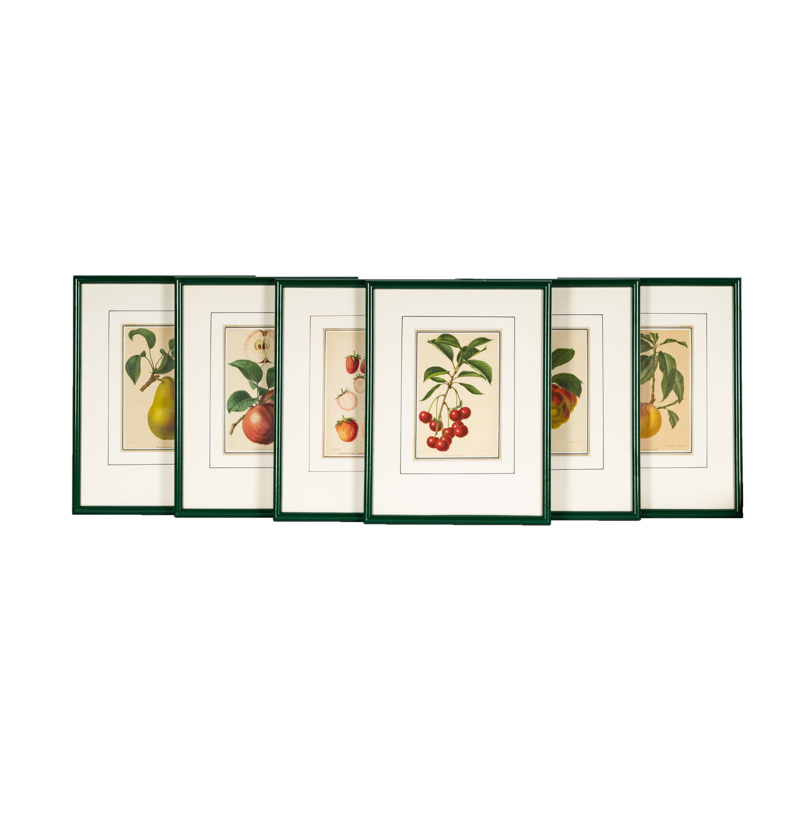 A Group of Six French Botanical Prints of Fruit (1 of 14)