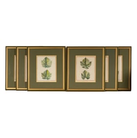 Six French Botanical Hand-Colored Engravings