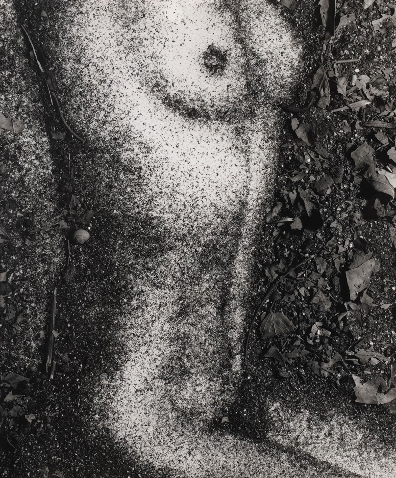 Vik Muniz (B. 1961) after Frantisek Drtikol (1883-1961): Torso (1 of 11)