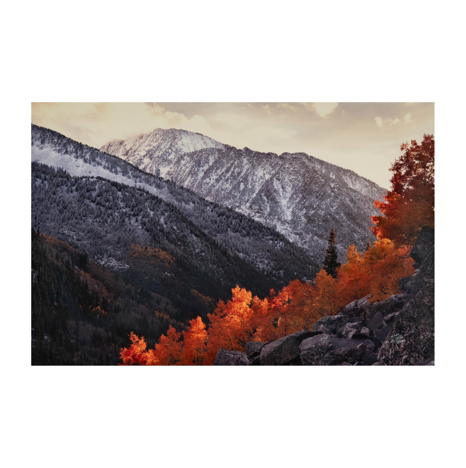 Autumn Leaves with Winter Mountains: 2006, signed and numbered 14/250 Sight: 19 1/2 x 29 1/2 in. (49.5 x 74.9 cm.), Frame: 28 x 38 1/2 in. (71.1 x 97.8 cm.)
