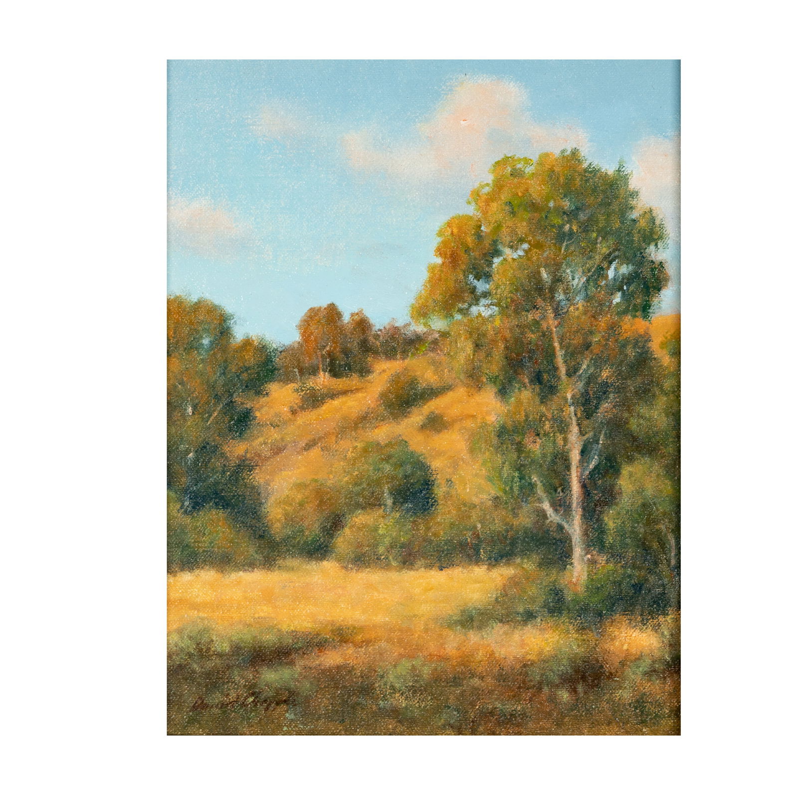 David Chapple (B. 1947): Late Afternoon: David Chapple California B. 1947 Late Afternoon oil on artist board signed lower left, titled verso 10 x 8 in. (25.4 x 20.3 cm.), Frame: 13 3/4 x 11 3/4 in. (34.9 x 29.8 cm.)