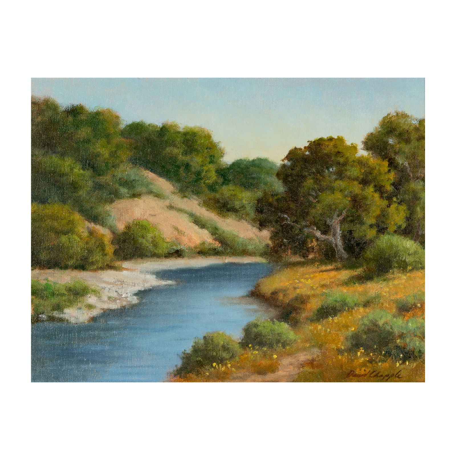 David Chapple (B. 1947): After Spring Rains (1 of 10)