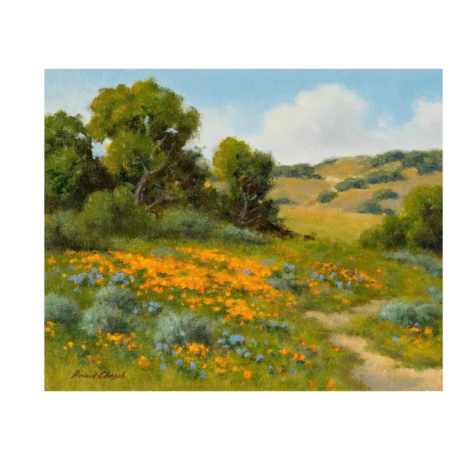 David Chapple (B. 1947): Spring Foothills (1 of 10)
