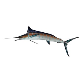 A Marlin Fish Wall Mount