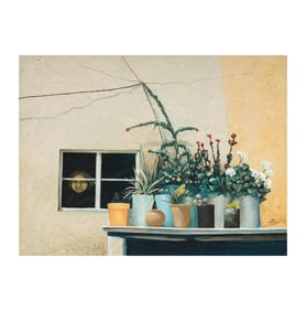 Marie France Porta, 20th century, Vecindad de Tepito