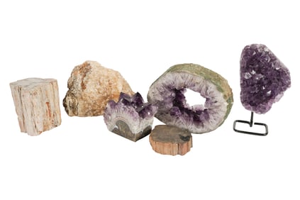 A Group of Mineral and Petrified Wood Specimens