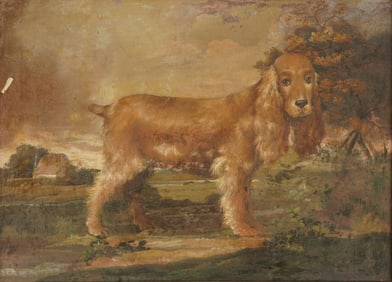 English School: Portrait of a Spaniel