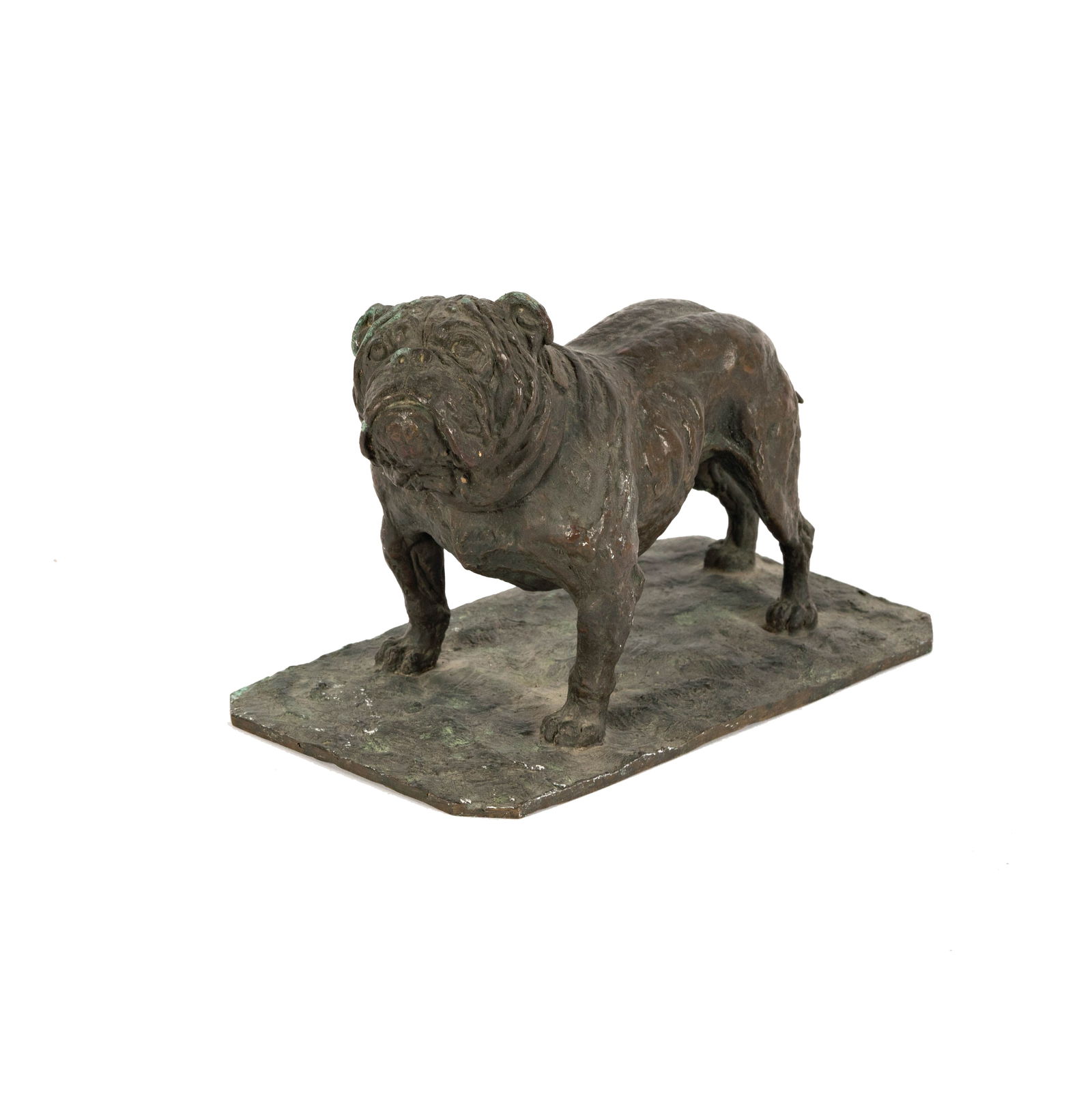 Kate Sowerby, United Kingdom 1883 - 1900, Bulldog (1 of 12)