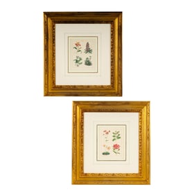 Simon Watts after Miss S. Maund: Two Plates from The Botanic Garden